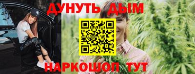 гашик Новодвинск