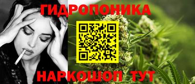 ГАЛЛЮЦИНОГЕННЫЕ ГРИБЫ Новозыбков