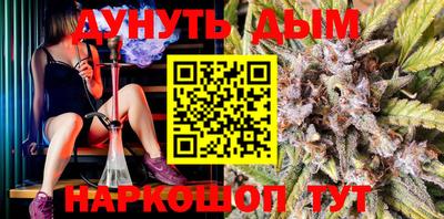гашик Новодвинск