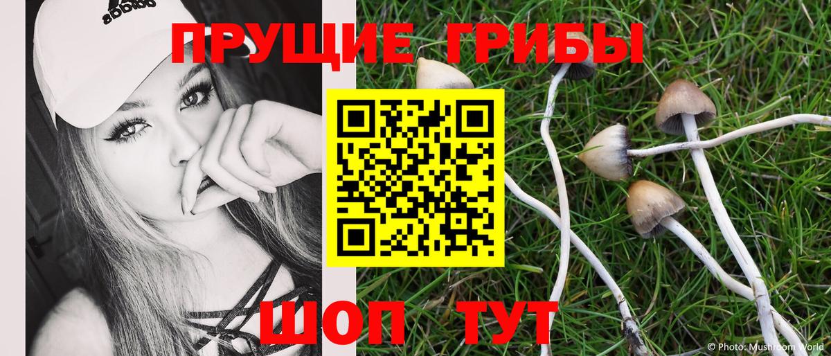 Галлюциногенные грибы мухоморы  Вход с VPN  Тихвин 